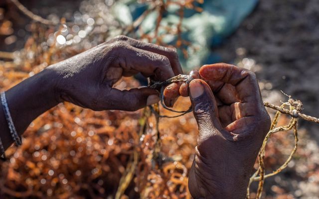 A closeup image of a pair of hands tying a rope in a knot.