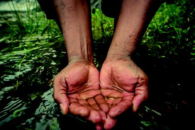 Hands cup water in a stream.