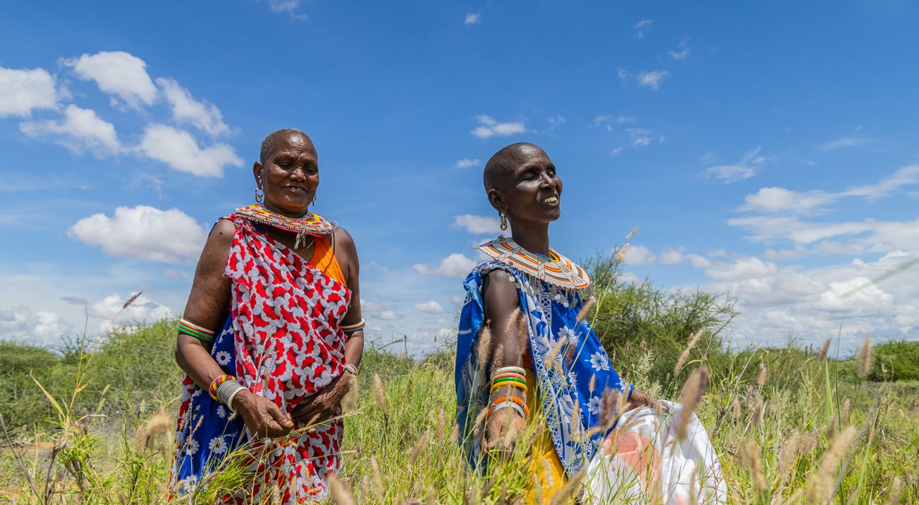 Two women collect grass seed.
