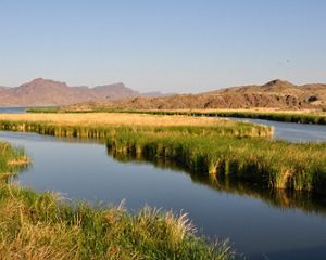 A river with green and gold marsh grasses in the middle of it and reddish-brown mountains in the background.