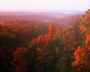 Fall foliage in the Brown County Hills, Indiana