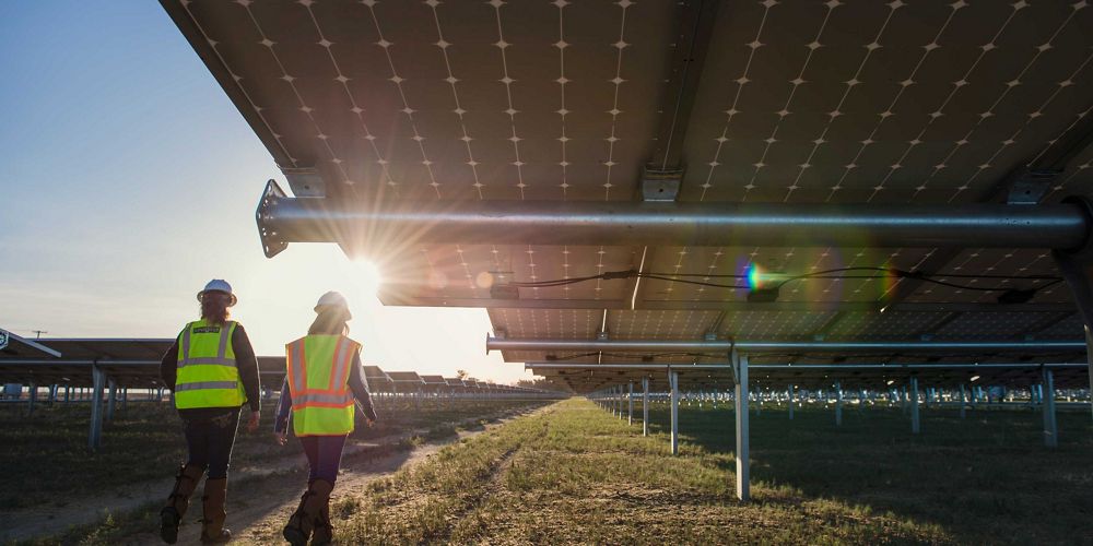 workers walking beneath solar panels