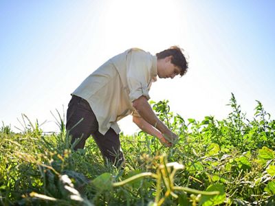 Investing in Sustainability