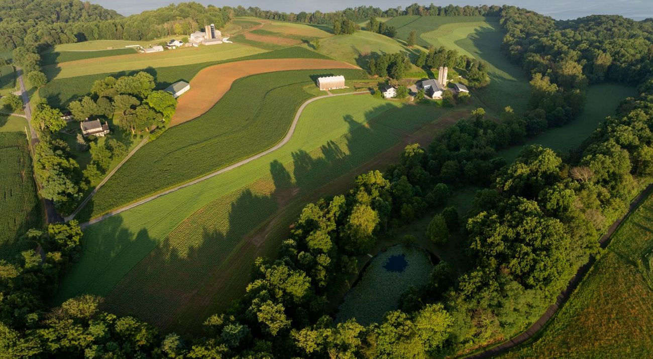 Aerial view of green farmlands.