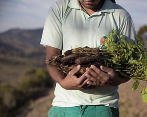 A person holds a variety of tree saplings in their arms.