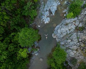 A view from above shows a woman swimming in a river with a rocky shoreline and forest beyond.