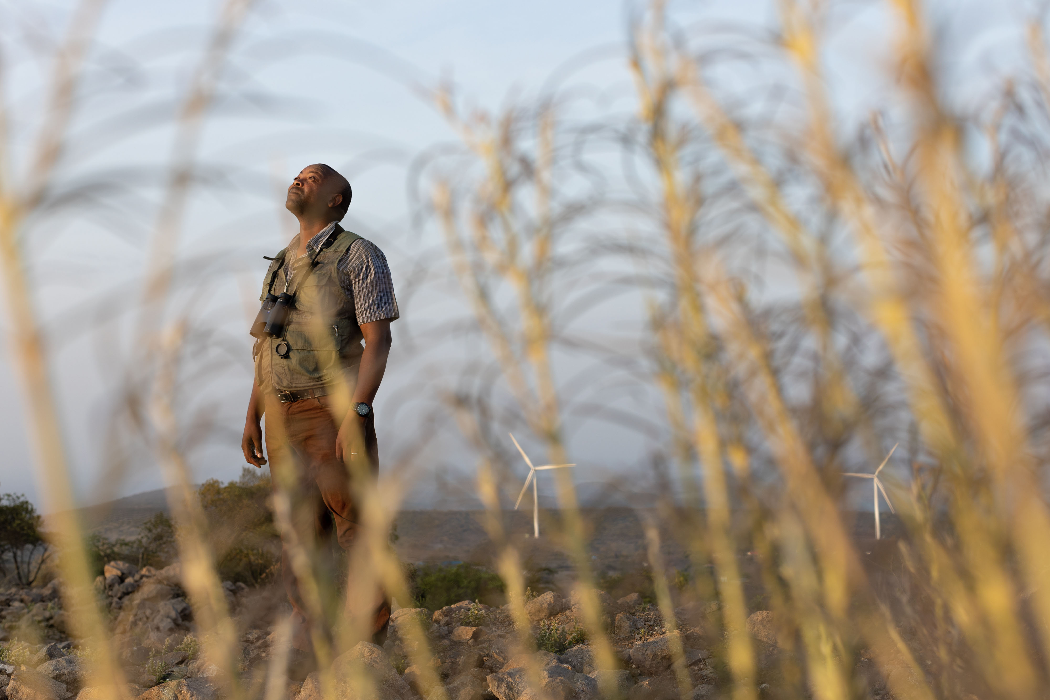 aerial view of wind turbines, clouds and vegetation.