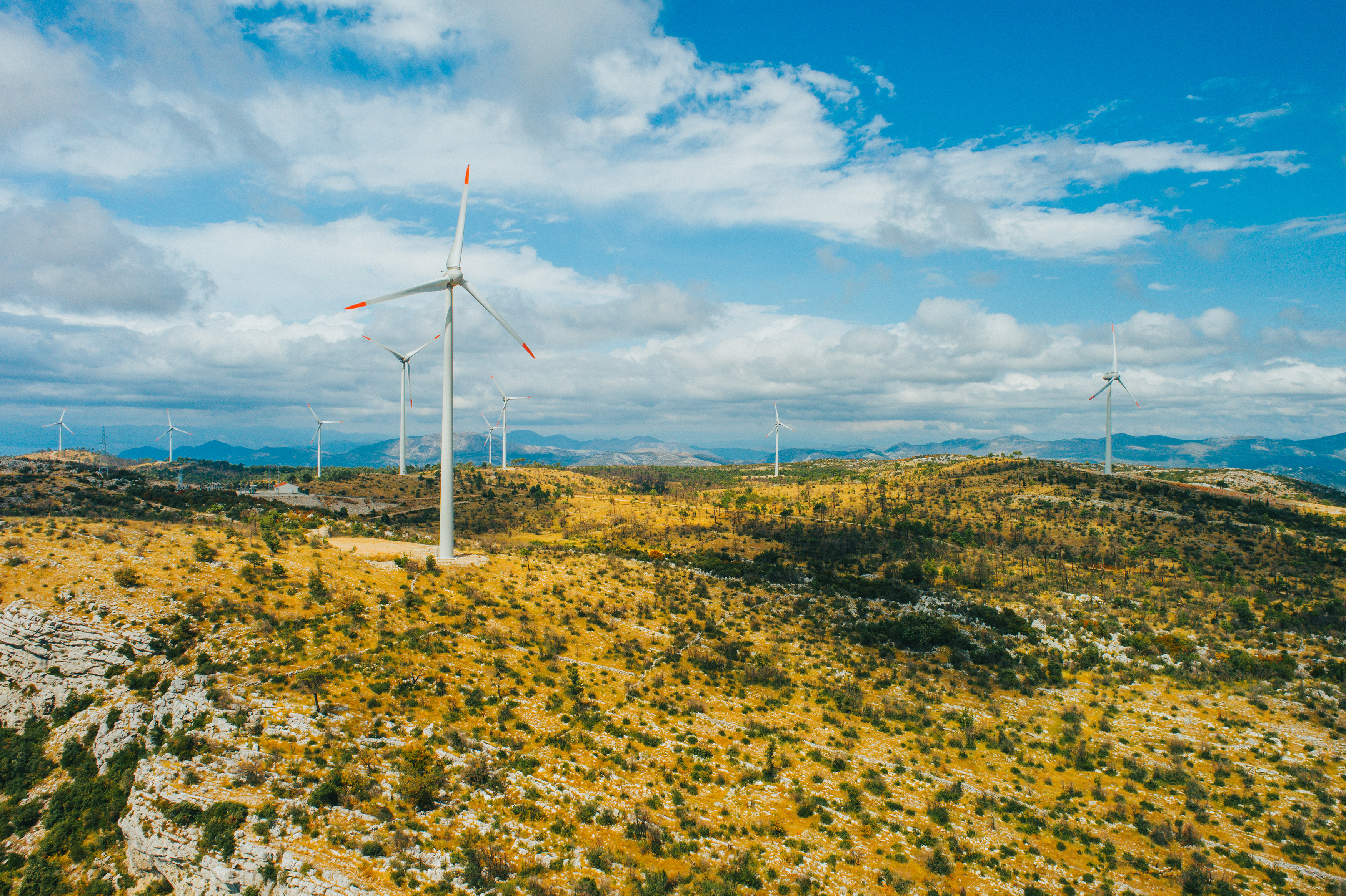 wind turbines on a farm.