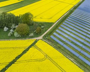 a field of solar panels adjacent to farm fields of yellow blooming canola plants