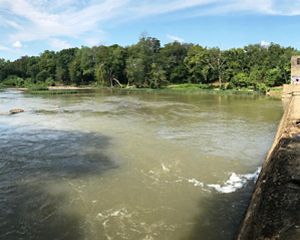 A low dam extends from the camera away across a muddy river, with driftwood piled up on the upstream side of the dam.