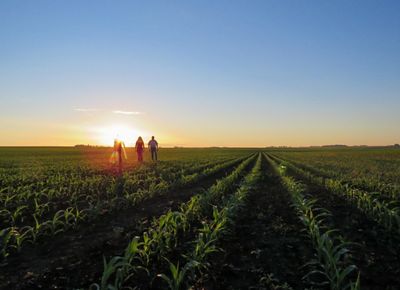 Three people walk across an agricultural field as the sun sets on the horizon.