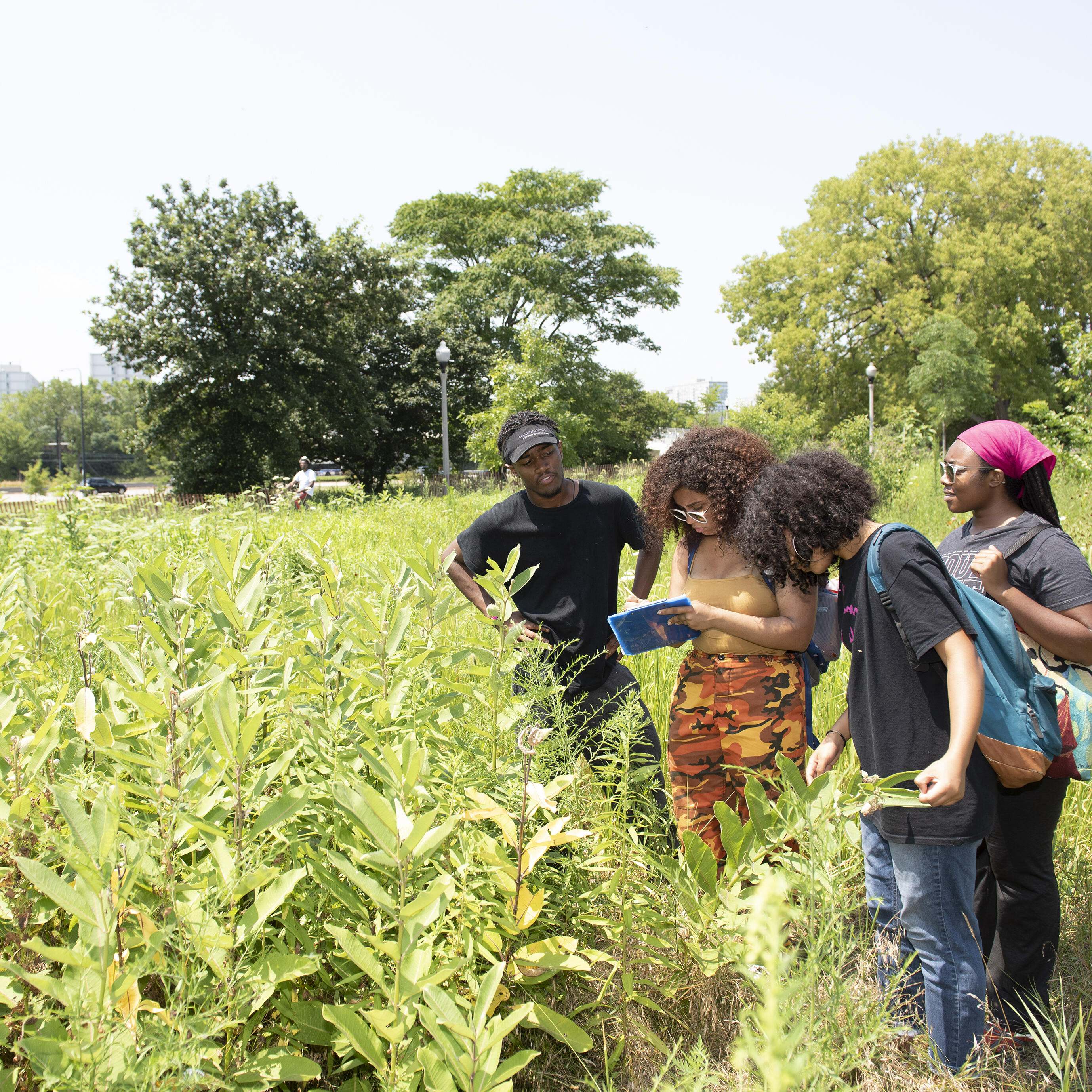 Four people in a field taking notes about butterflies.