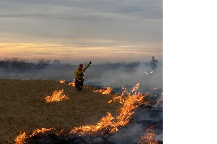 A historic photo of several men tending to a fire in a grassland.