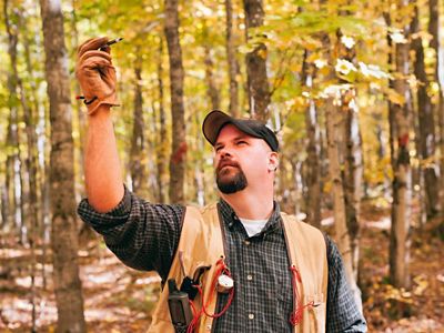 Forester John Fosgitt