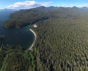 Aerial view, Koeye River.