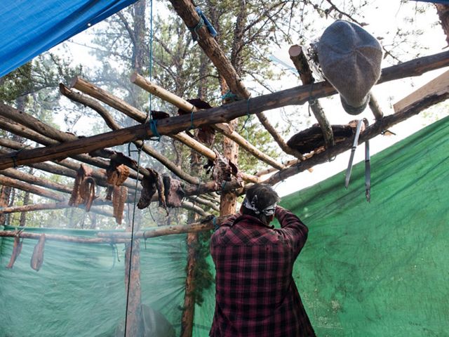 first nation man smokes and dries caribou outside on wooden poles in the northwest territories