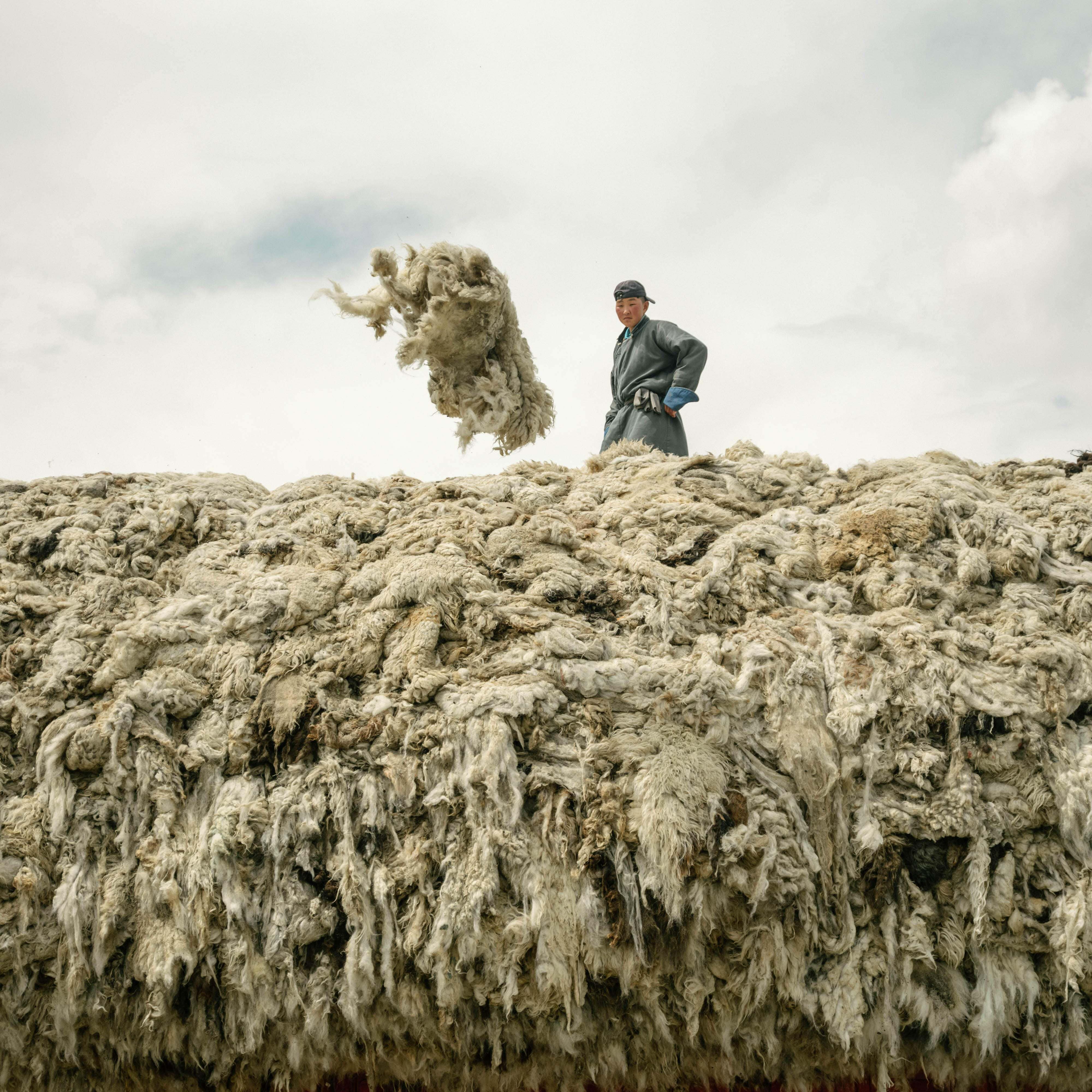 A man standing on a pile of sheepskins on a truck.