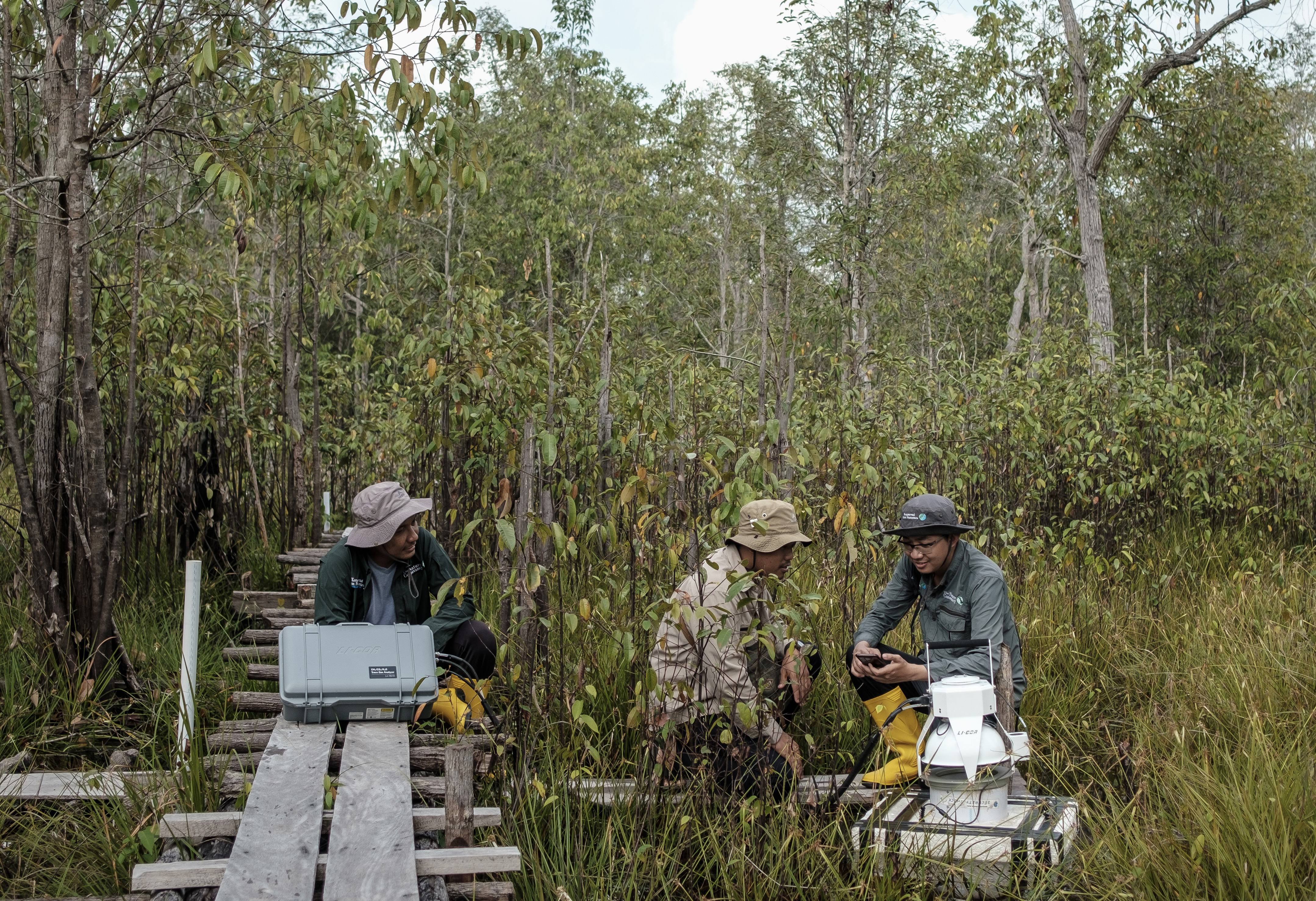 scientists looking at equipment in a peat swamp.