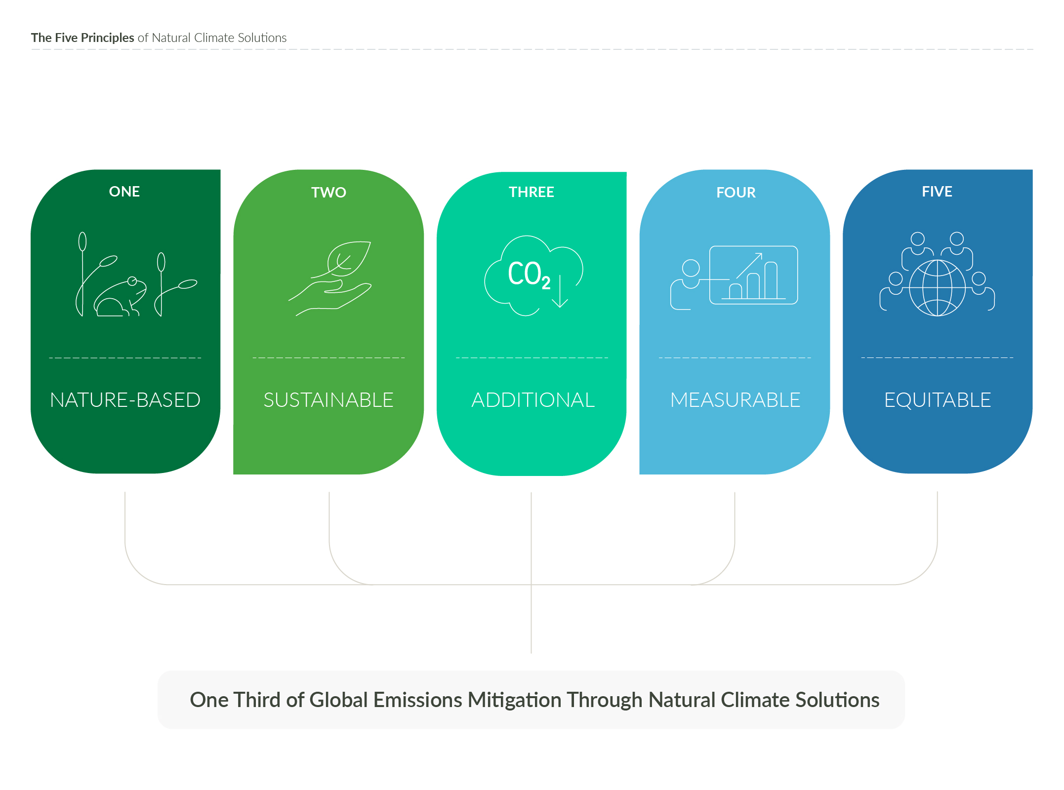 an illustration of the five principles of natural climate solutions.