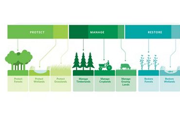graphic showing protect manage restore pathways.
