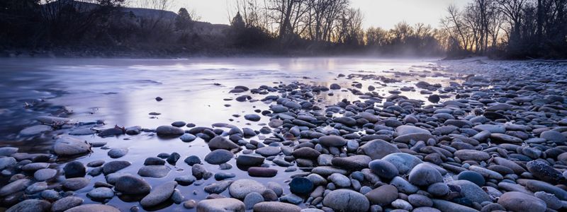 Sunlight on a forest floor.