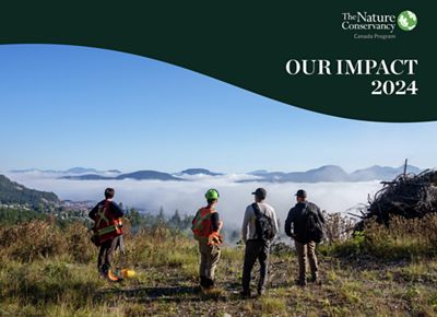 Cover of the 2024 impact report showing four people standing on a cliff looking out across a foggy expanse with mountains in the distance.