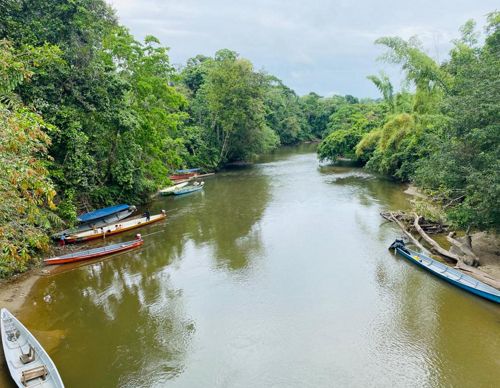 A river with boats and trees along its shores.