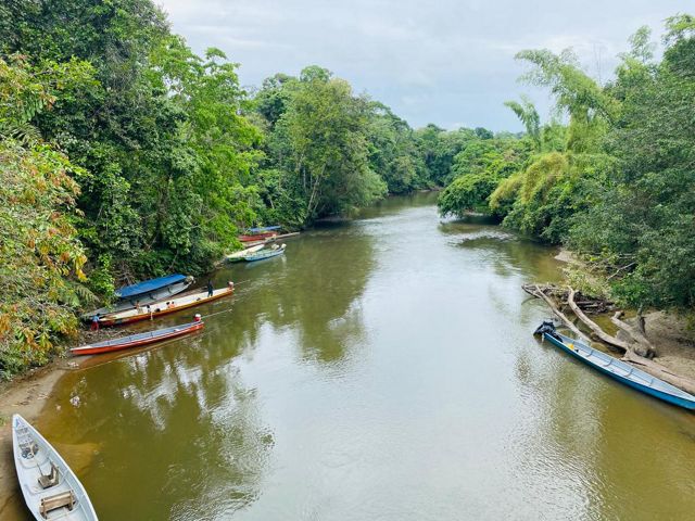 A few long canoes are beached along a narrow river with forests on either side of it.