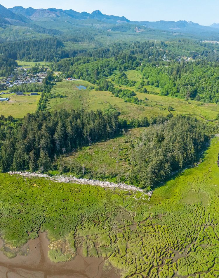 Aerial photo of the Sitka Wetland of Nehalem Bay.
