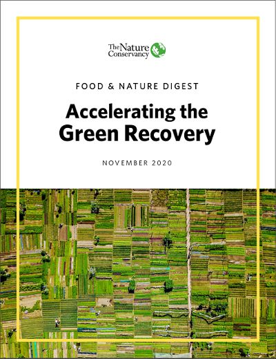 Photo of trees and waterfall with title of report and three logos