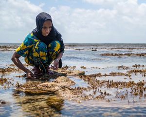 A woman fishing for octopus