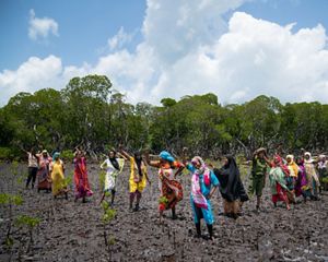 women smiling in mangrove area