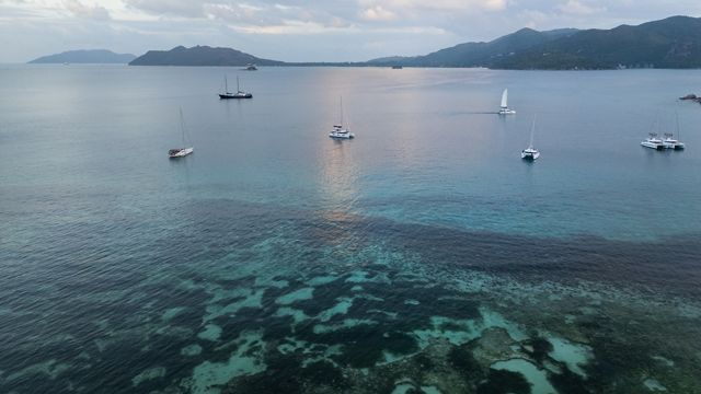 Aerial view of beach and boats.