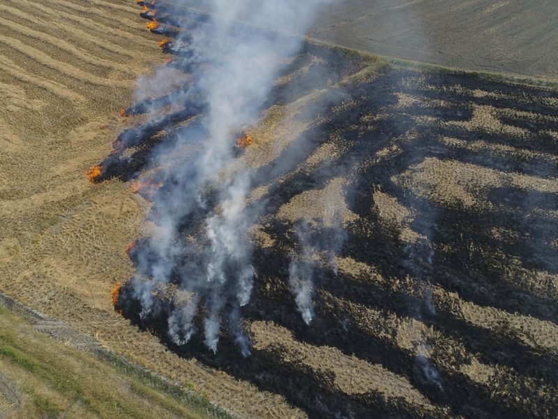 Aerial of a rice paddy field on fire. The orange flames are making their way to tan rice stubble while leaving a path of smoldering lines of stubble.
