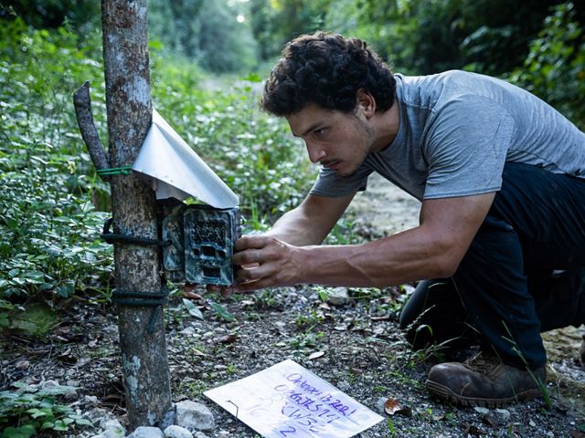 David Lugo crouches next to a camera fastened to a tree trunk as he collects memory cards and batteries.