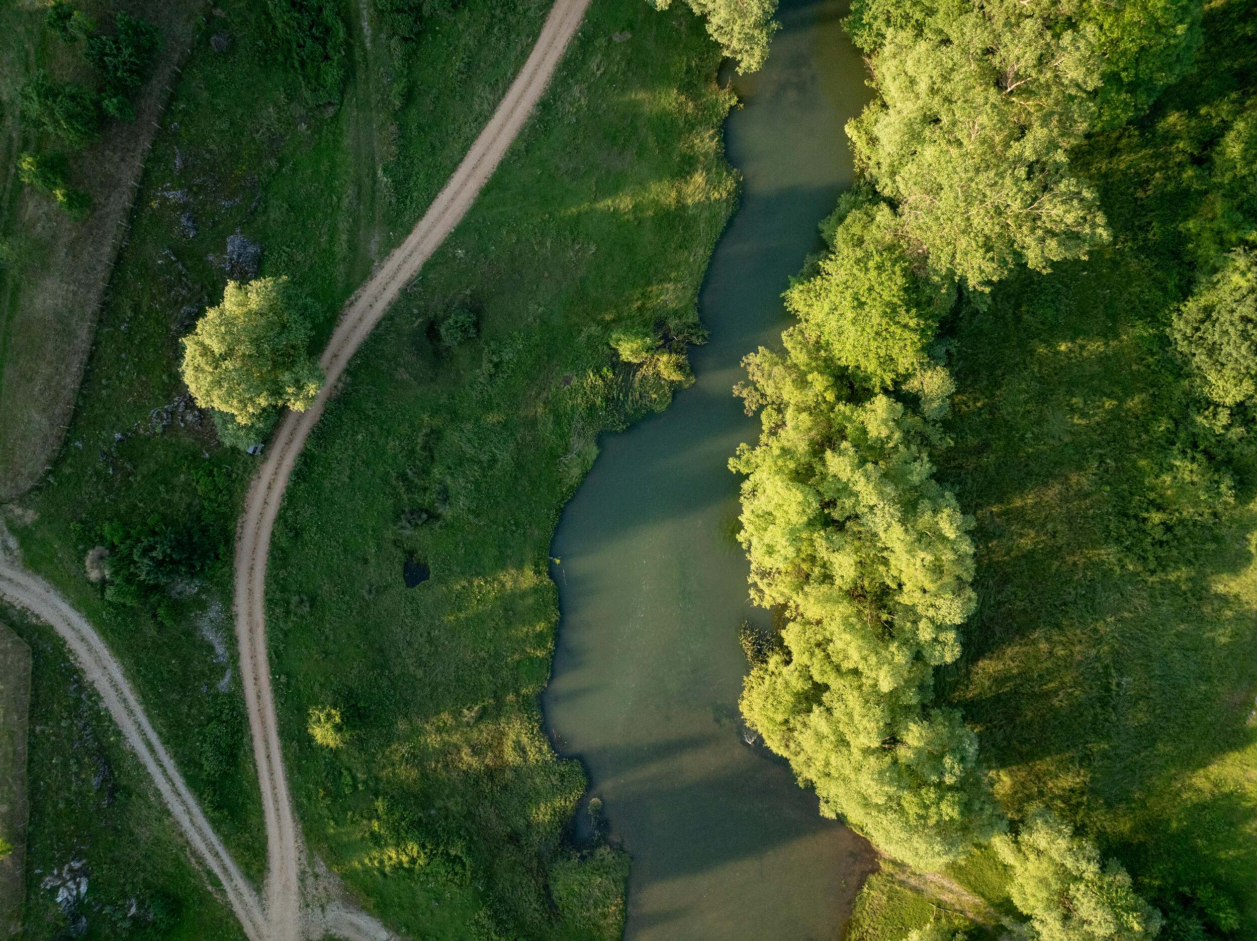 aerial view of a river through green landscape.