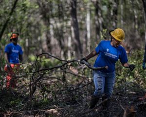 Three young people wearing hard hats and conservation corps shirts, clearing branches in a forest.