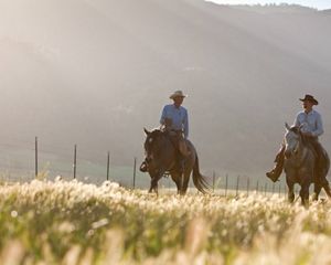 Two farmers on horses riding among crops.