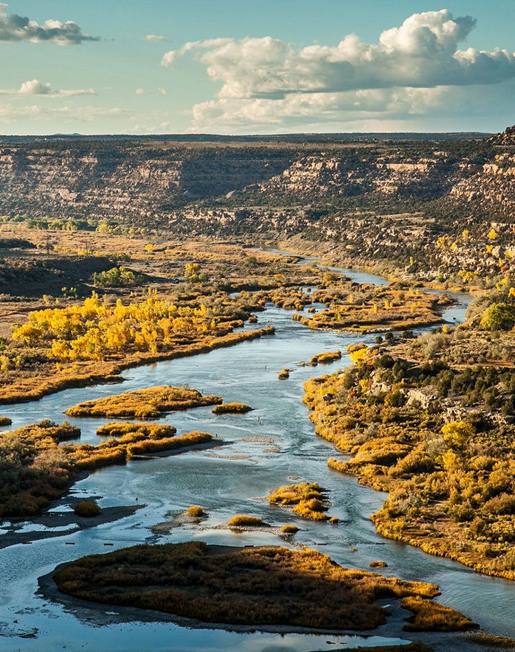 The San Juan River winds through a scrubby landscape.