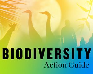 A collage of silhouetted animal, plant and people photos with a gradient overlay of green, orange, and yellow. 