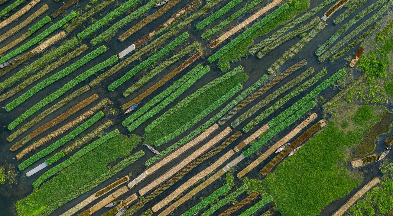 Aerial view of a floating farm.