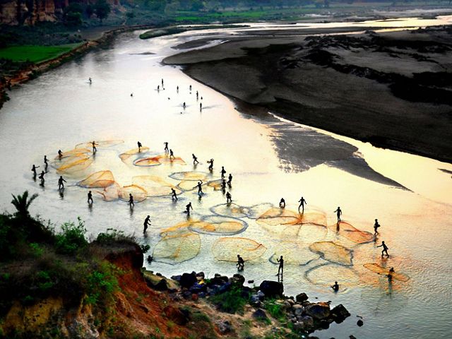 Aerial view of people standing in a West Bengal river in India, casting nets for fishing.