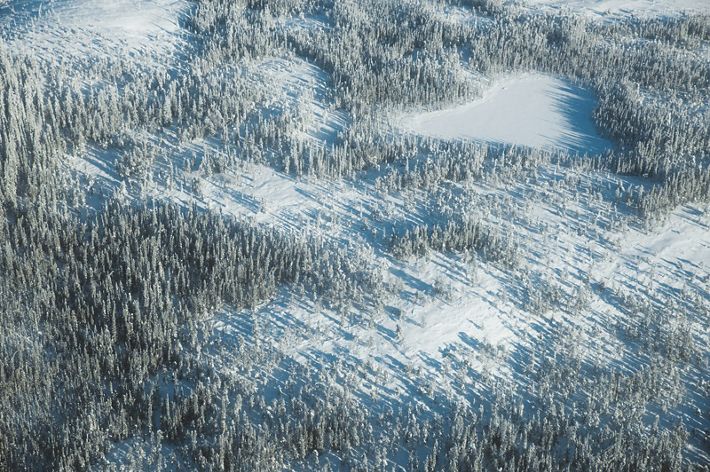 aerial of snowy boreal forest with frozen lakes and tundra in Canada's Northwest Territories
