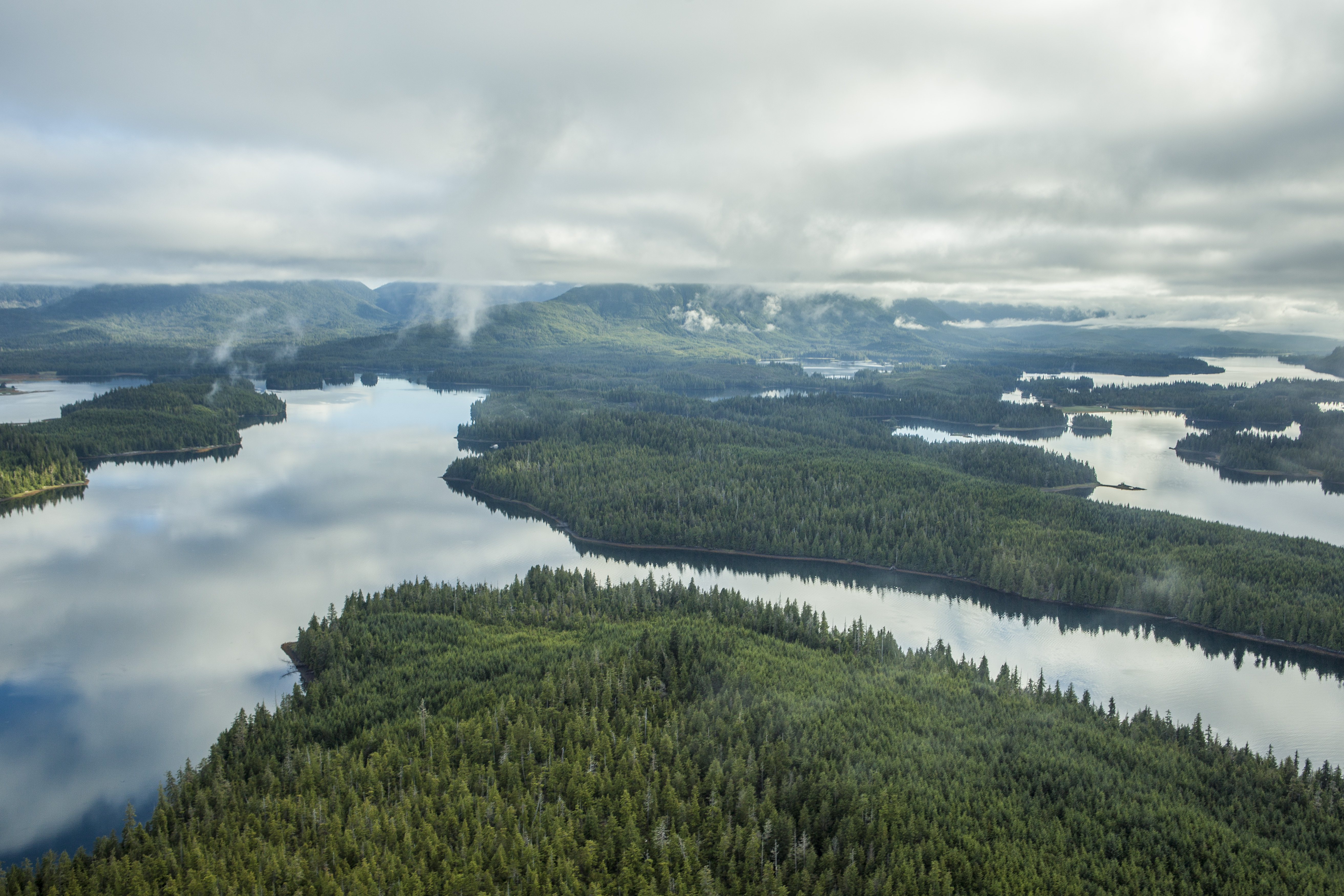 Aerial view of Southeast Alaska's Tongass National Forest during flight from Prince of Wales Island to Ketchikan. 