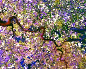 An aerial view of agricultural fields around a river.