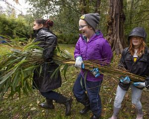 Young people carrying a bundle of felled trees.