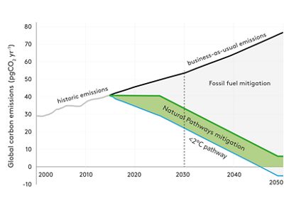 Infographic showing the contribution of natural climate solutions to stabilizing warming below 2 degrees celsius.