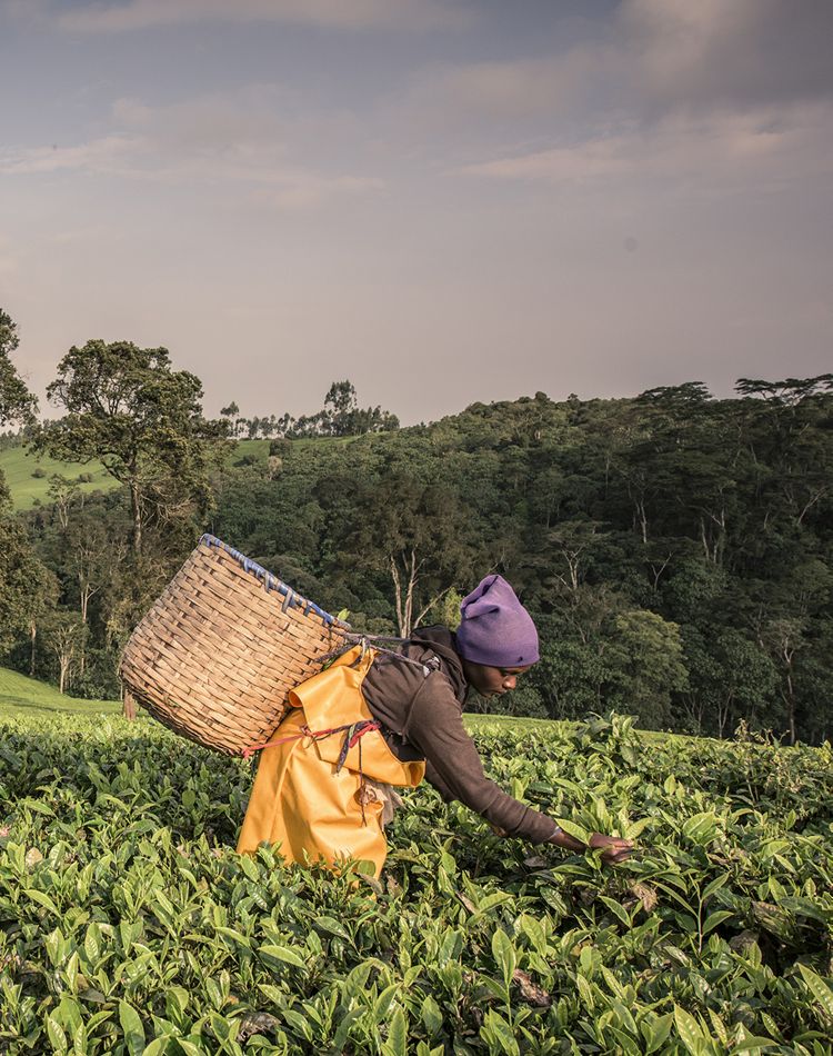 A woman with a basket in a field.