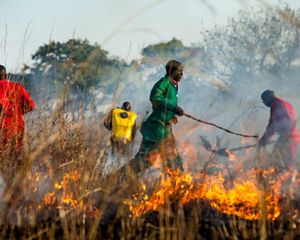 A fire training participant runs behind a fire line 