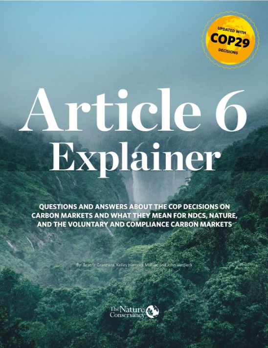 Cover for the Article 6 Explainer updated with COP29 decisions
